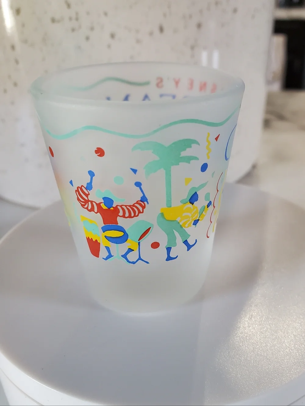 Vintage Disney World Caribbean Beach Resort Frosted Shot Glass